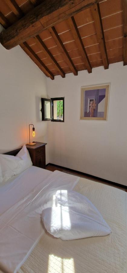 Casa vacanze House Pierina