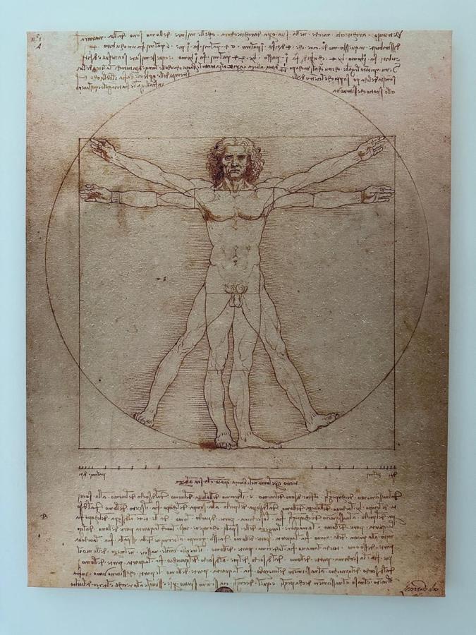 Acomodação com café da manhã  Leonardo Da Vinci - Casa Babette