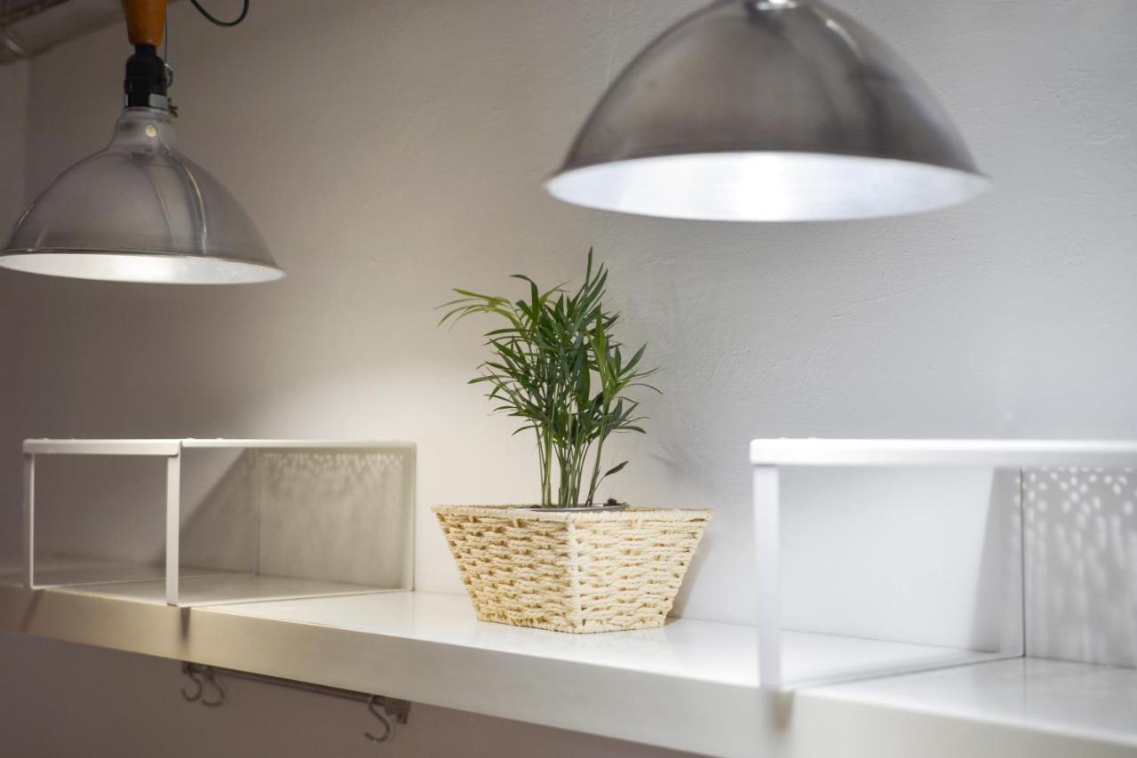 Appartement San Pierino
