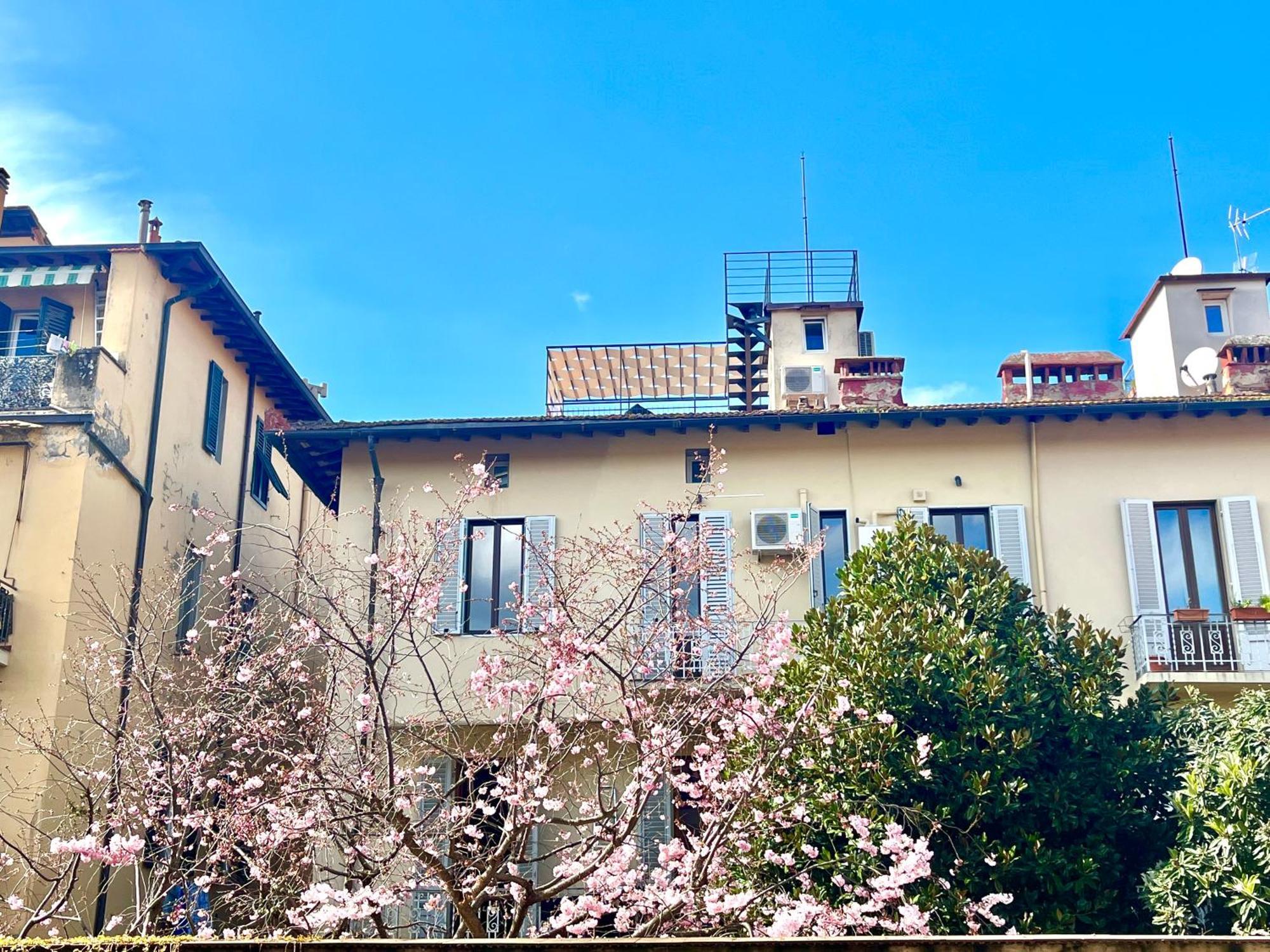 Oltrarno Hideway With Garage *