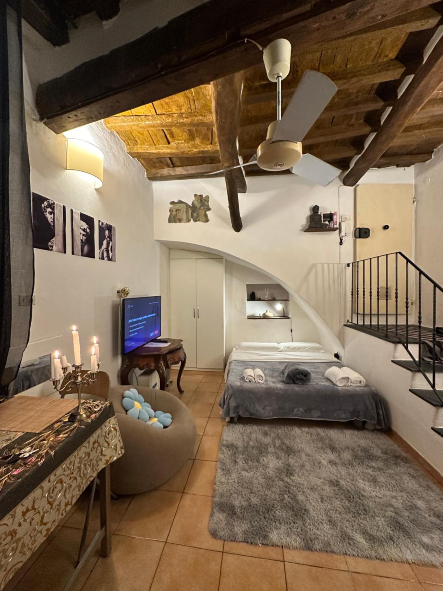 Medici In Apartment