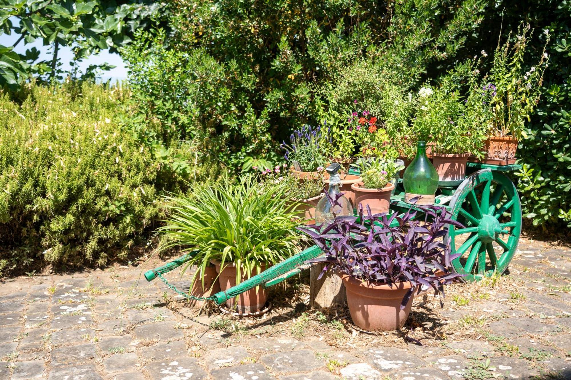 Charming Florentine Hideout * Firenze