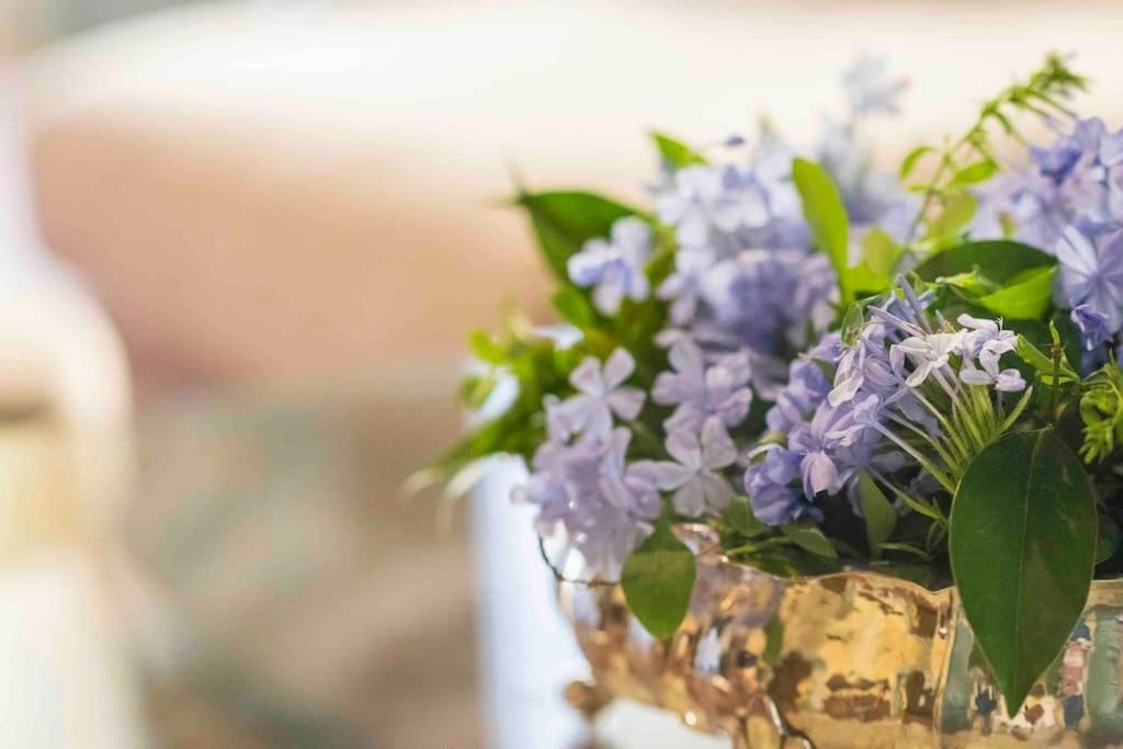 Ginny's House- Borgo La Croce Luxury * Florence