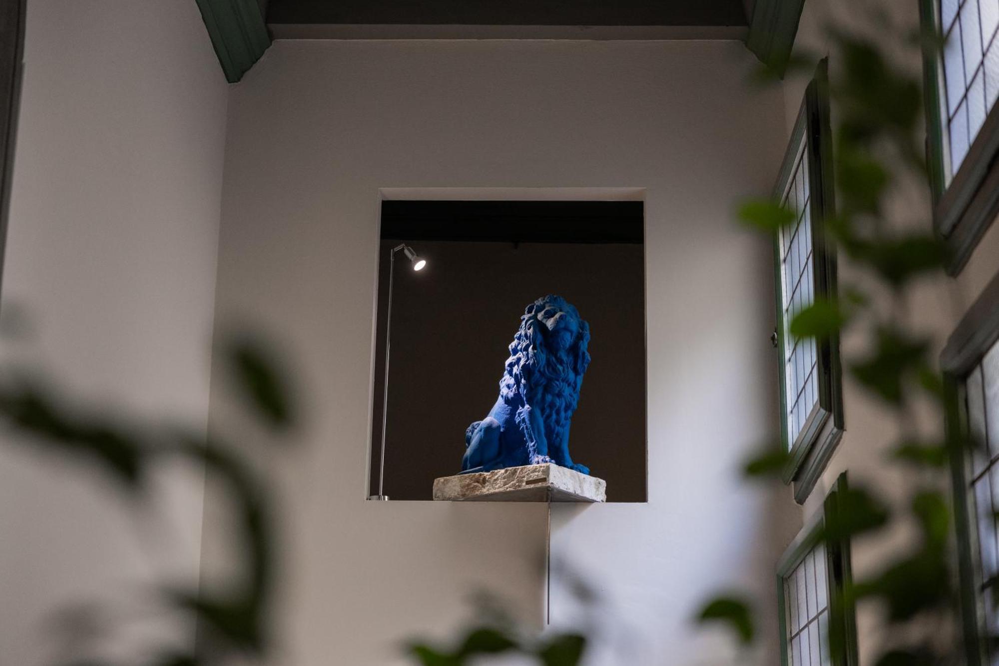 Leone Blu | Esperienze Hotel
