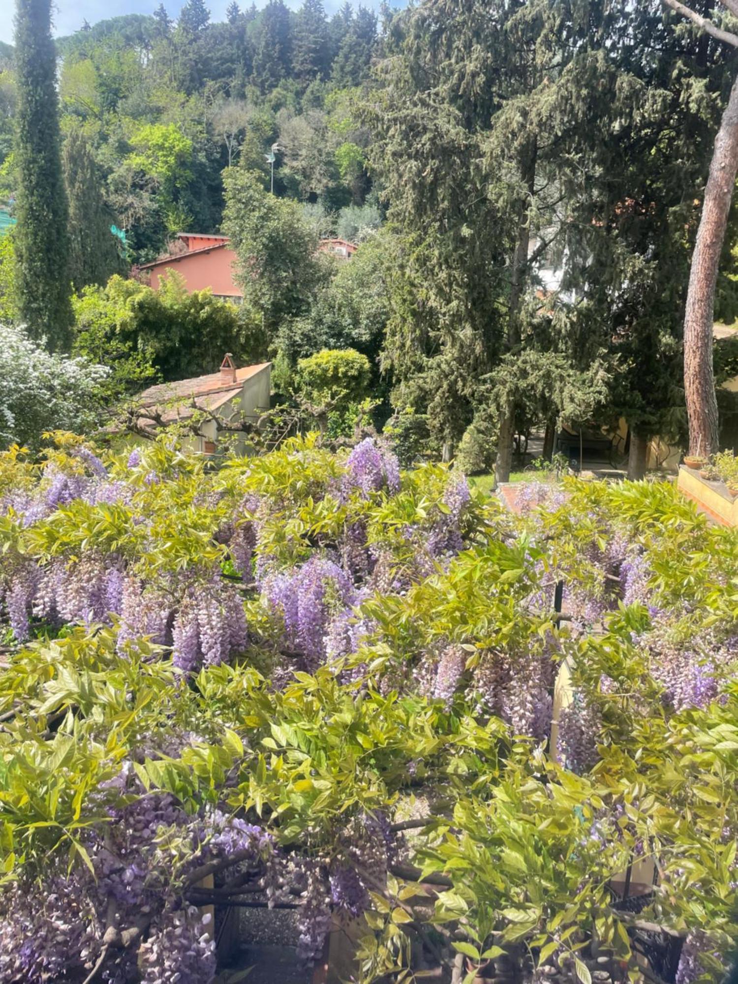 Albero Mago Maison d'hôtes
