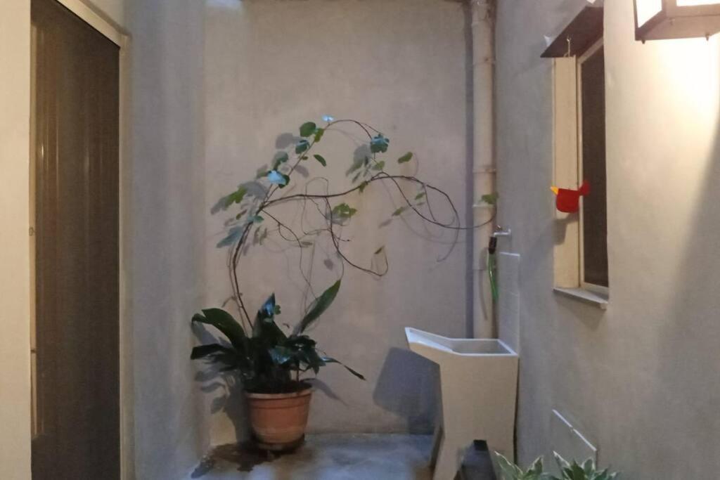 Apartment A Due Passi Dal Centro Florence
