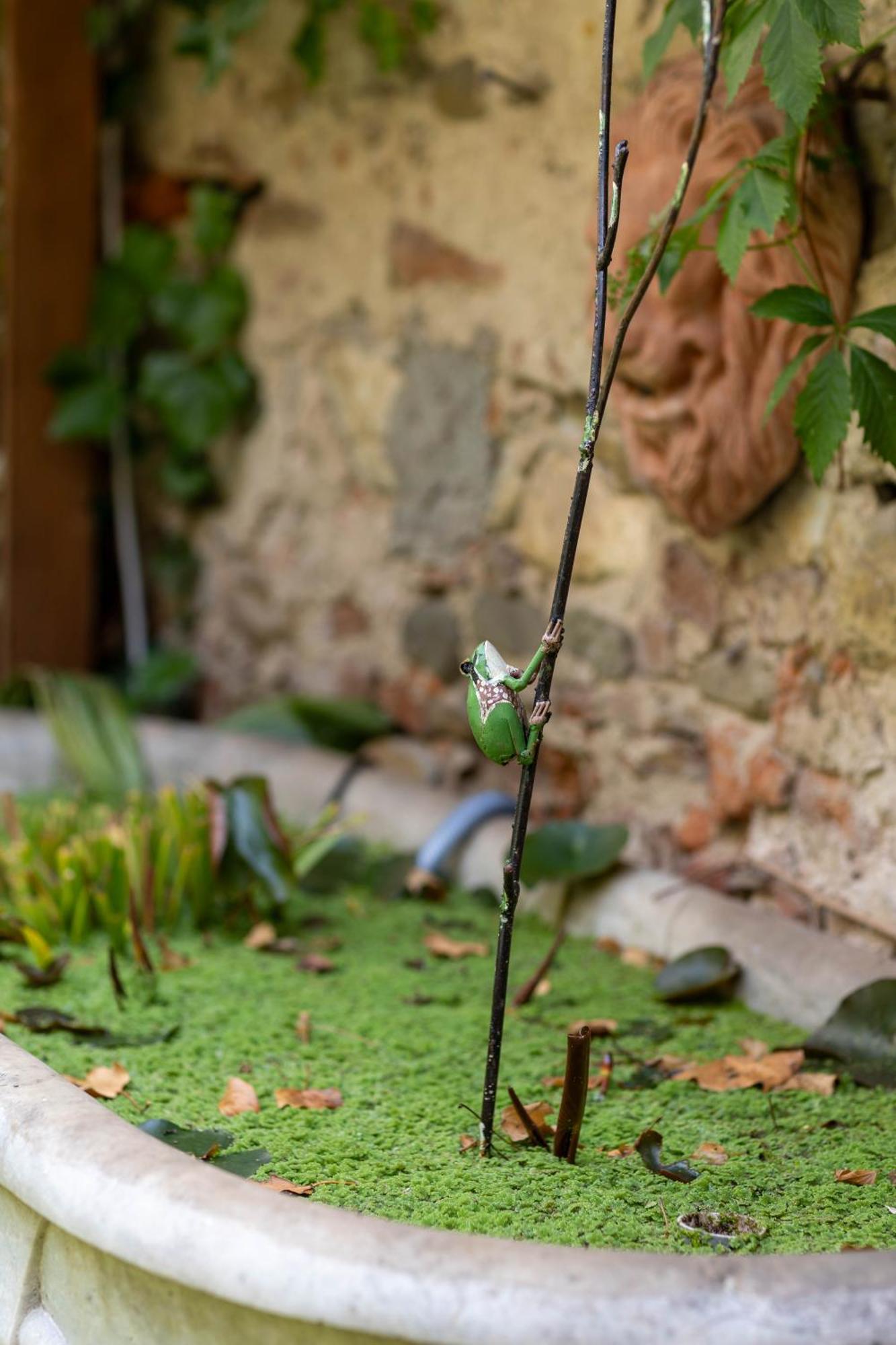 Secret Garden Bed & Breakfast Florence