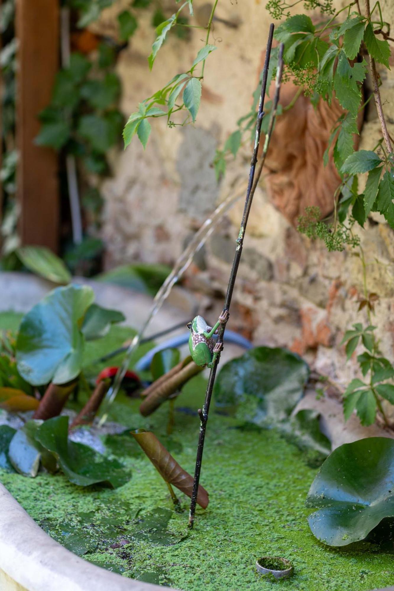 Secret Garden Bed & Breakfast