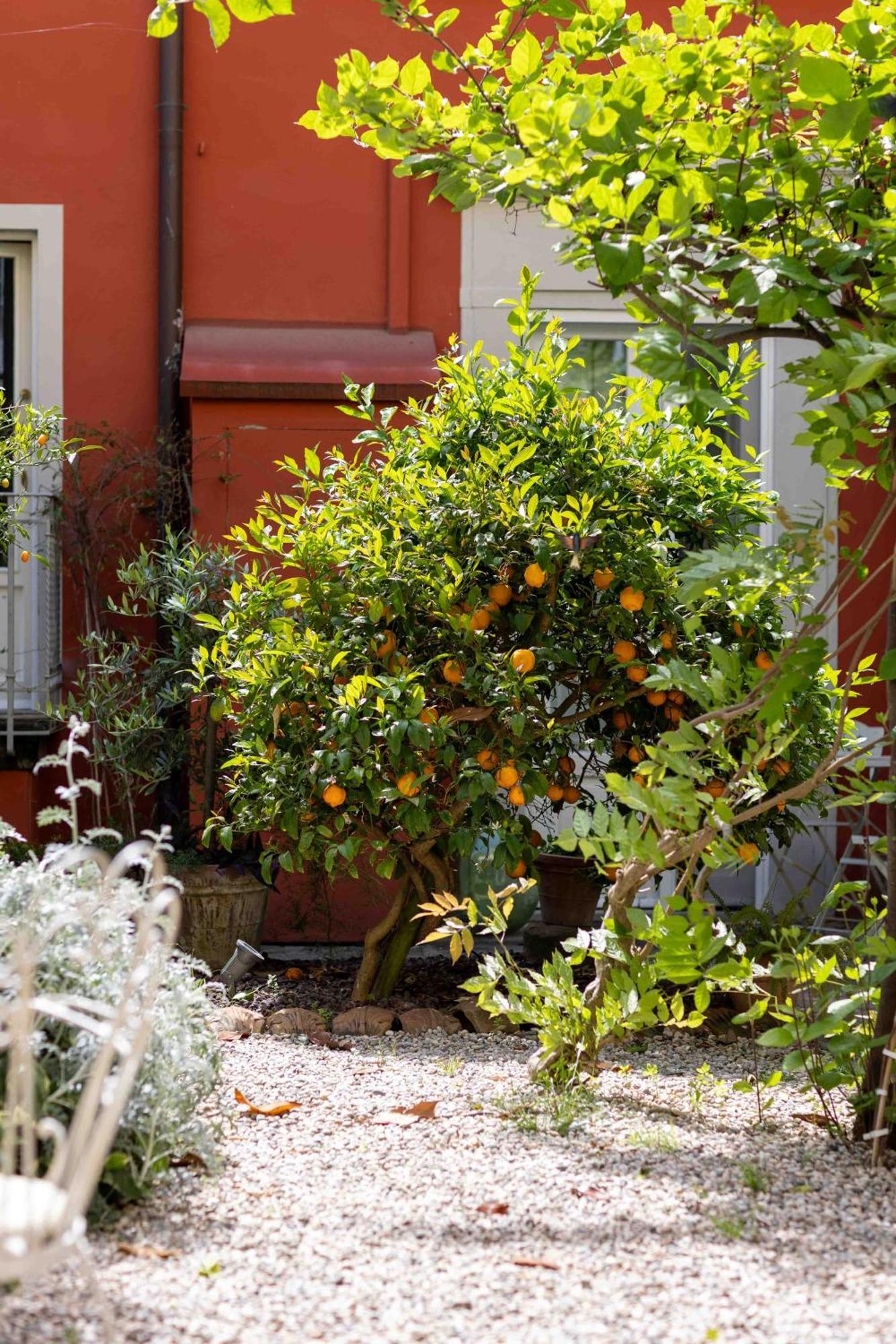 Secret Garden * Florence