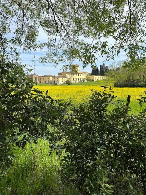 In Castello * Florence
