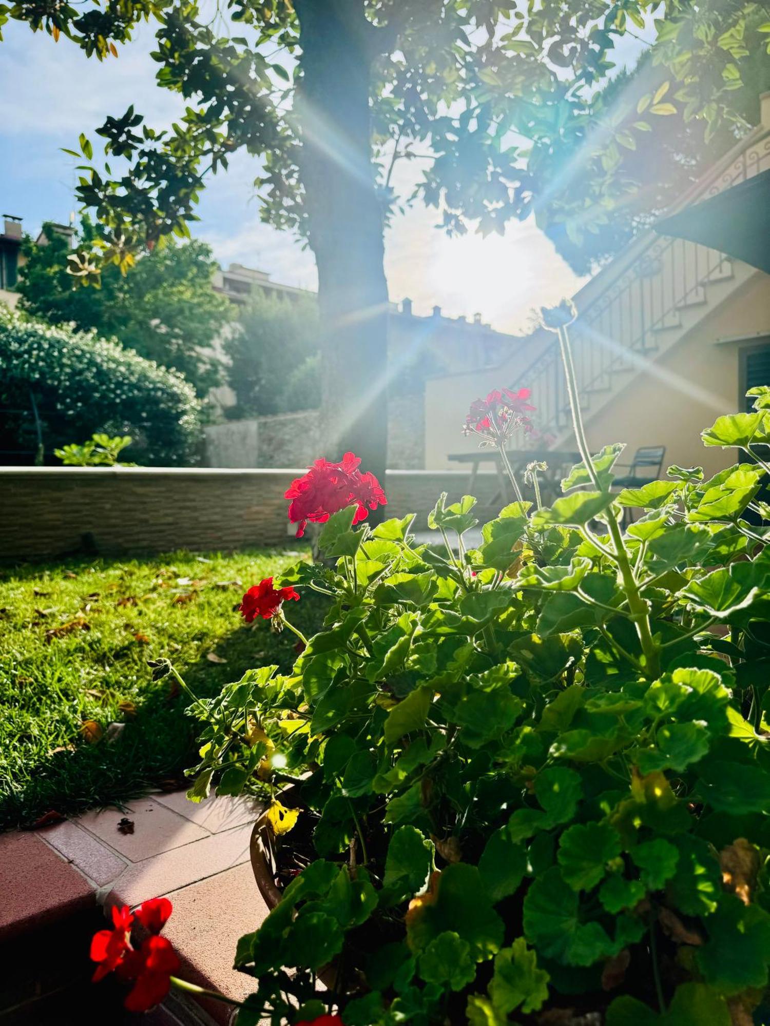 La Casa Di Grace Appartement