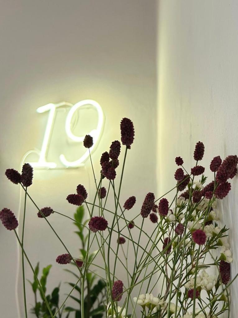 Domus 19