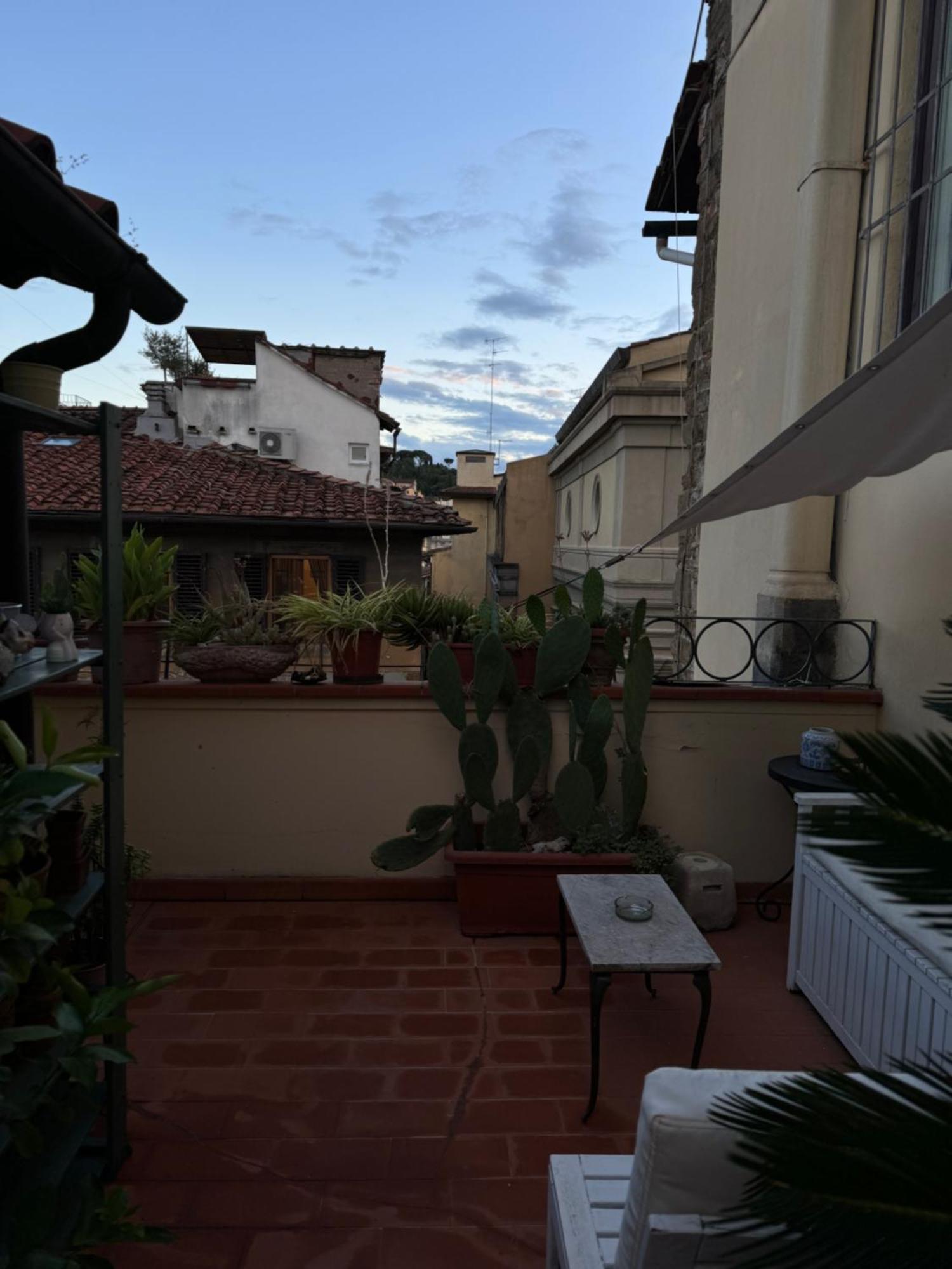 Panorama & Terrace Appartement