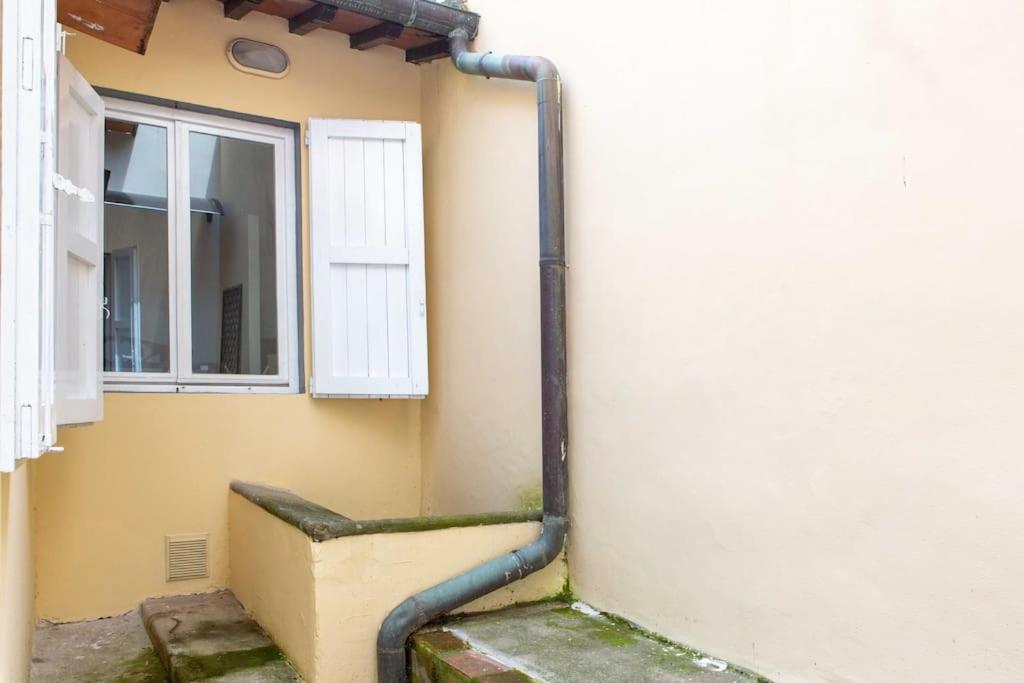 Romana 4 Bedrooms With Garden Appartamento Firenze