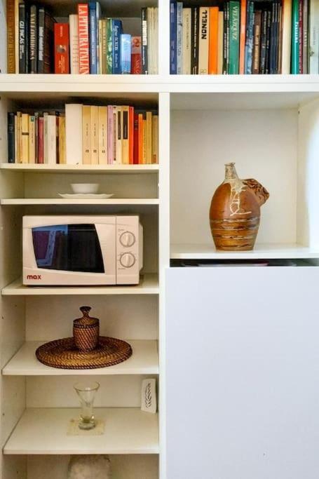 - Anthurium Appartement
