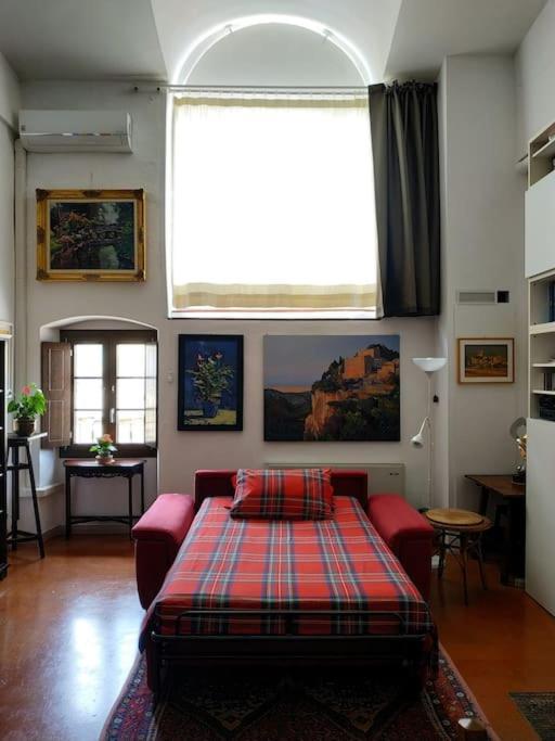 - Anthurium Appartement
