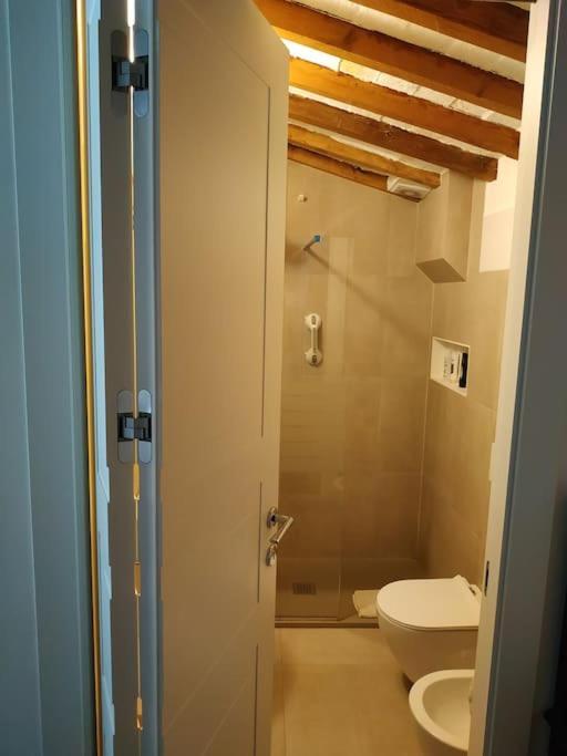 - Anthurium Appartement