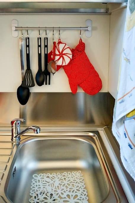 - Anthurium Appartement *