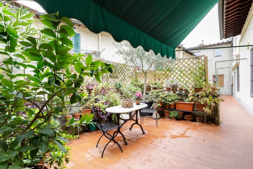 - Anthurium * Florence