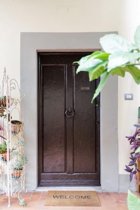 Appartement - Anthurium