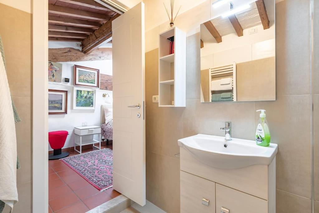 - Anthurium Appartement *