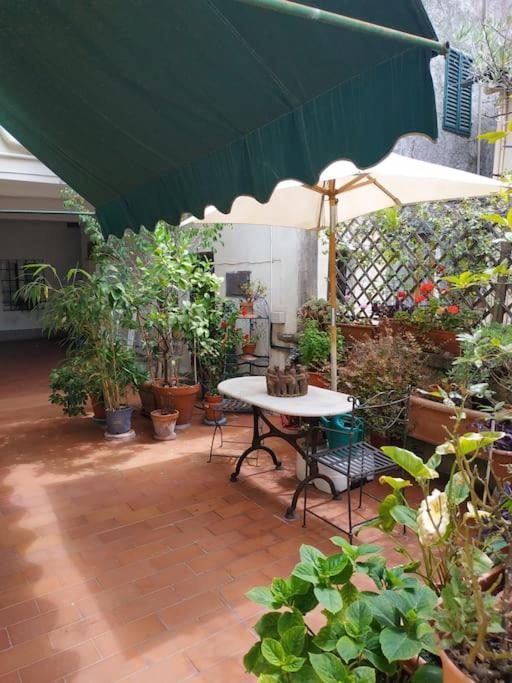 Appartement - Anthurium *
