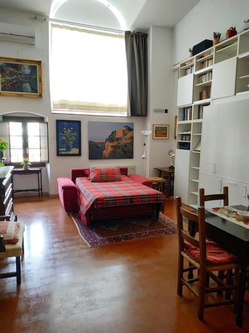- Anthurium Appartement *
