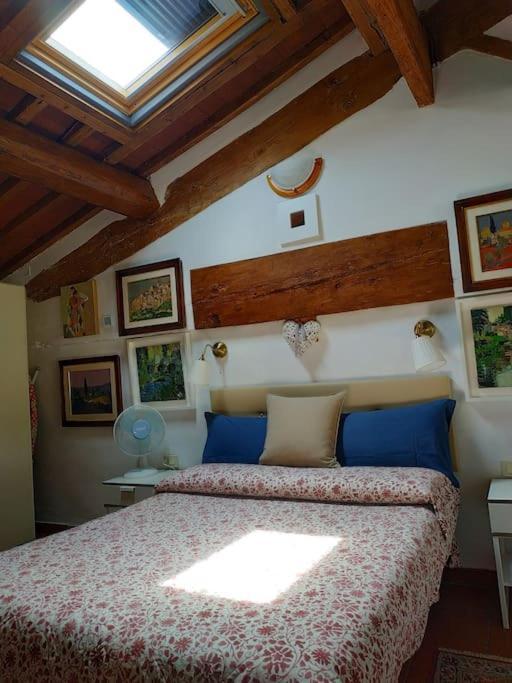 - Anthurium Appartement Florence