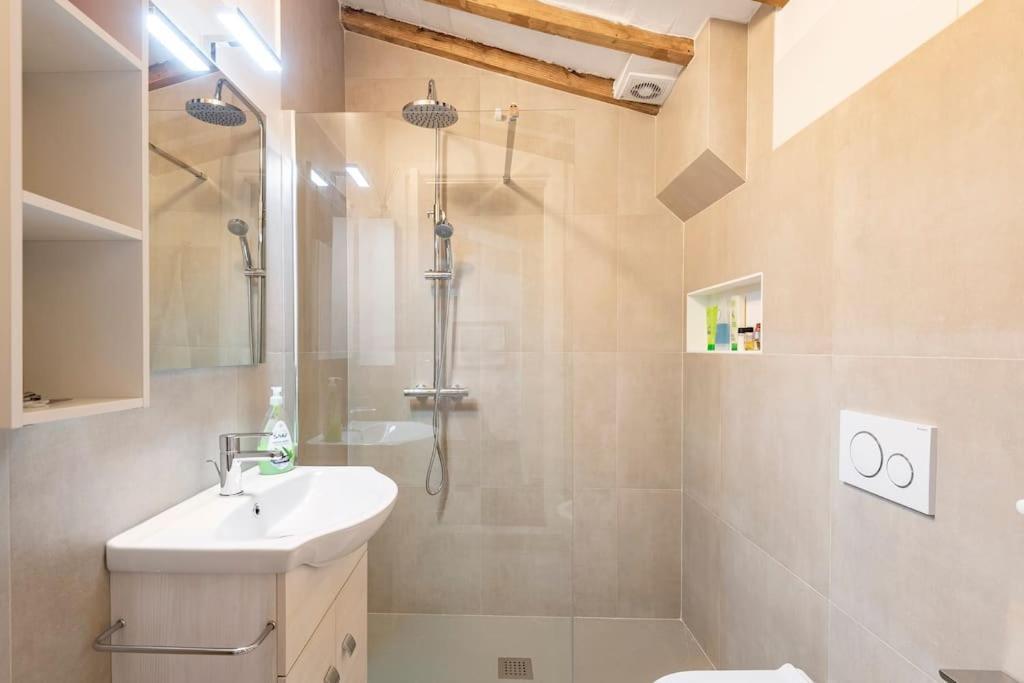 - Anthurium Appartement
