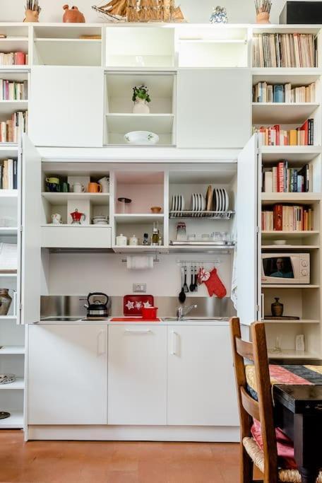 - Anthurium Appartement *