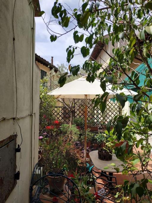 Appartement - Anthurium Florence