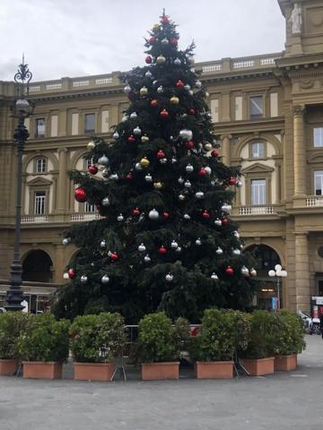 Guelfa House Appartamento Firenze