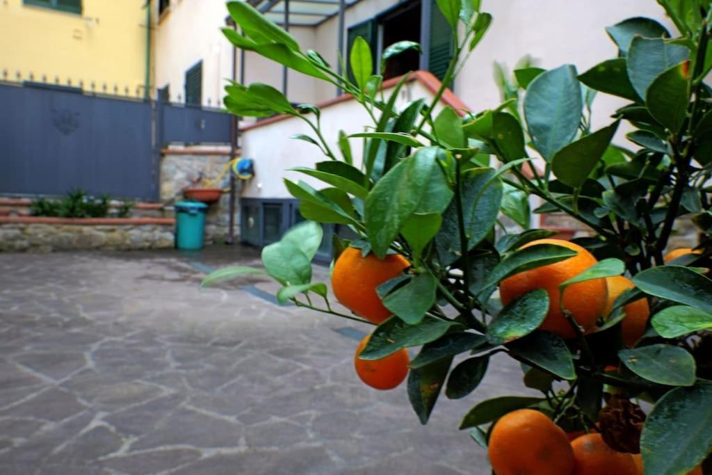 Casa Allegra Appartement Florence