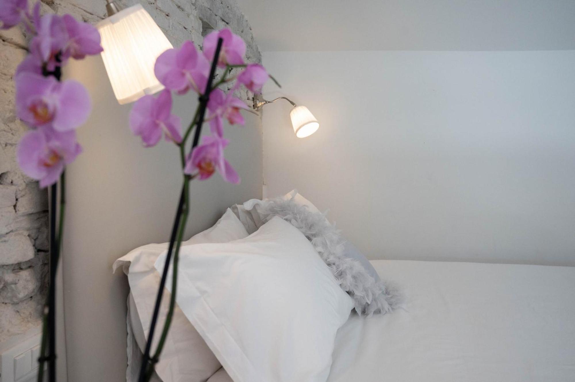 Apartment Design Loft Belle Donne