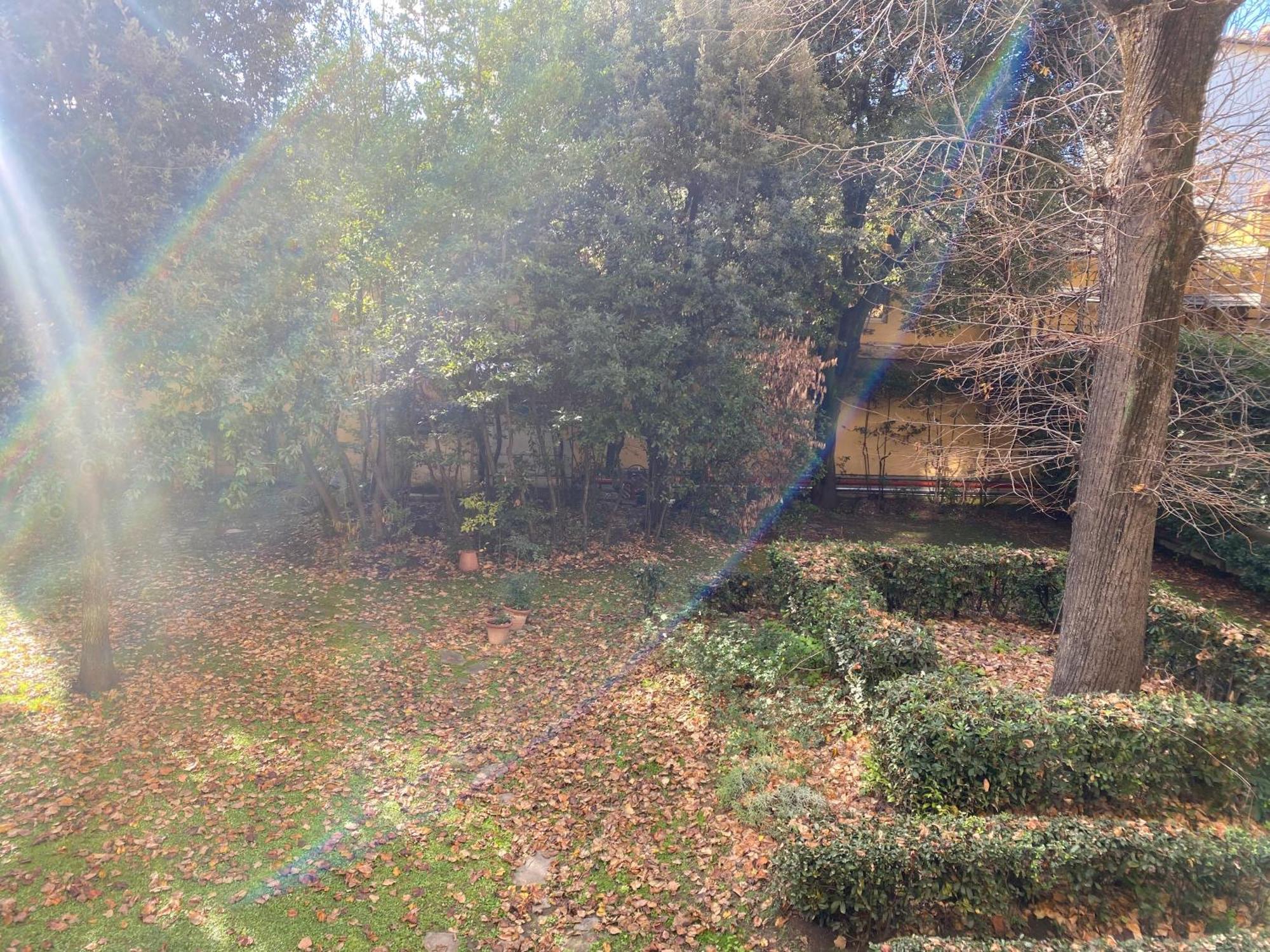 Cozy With Access To Garden Appartamento *
