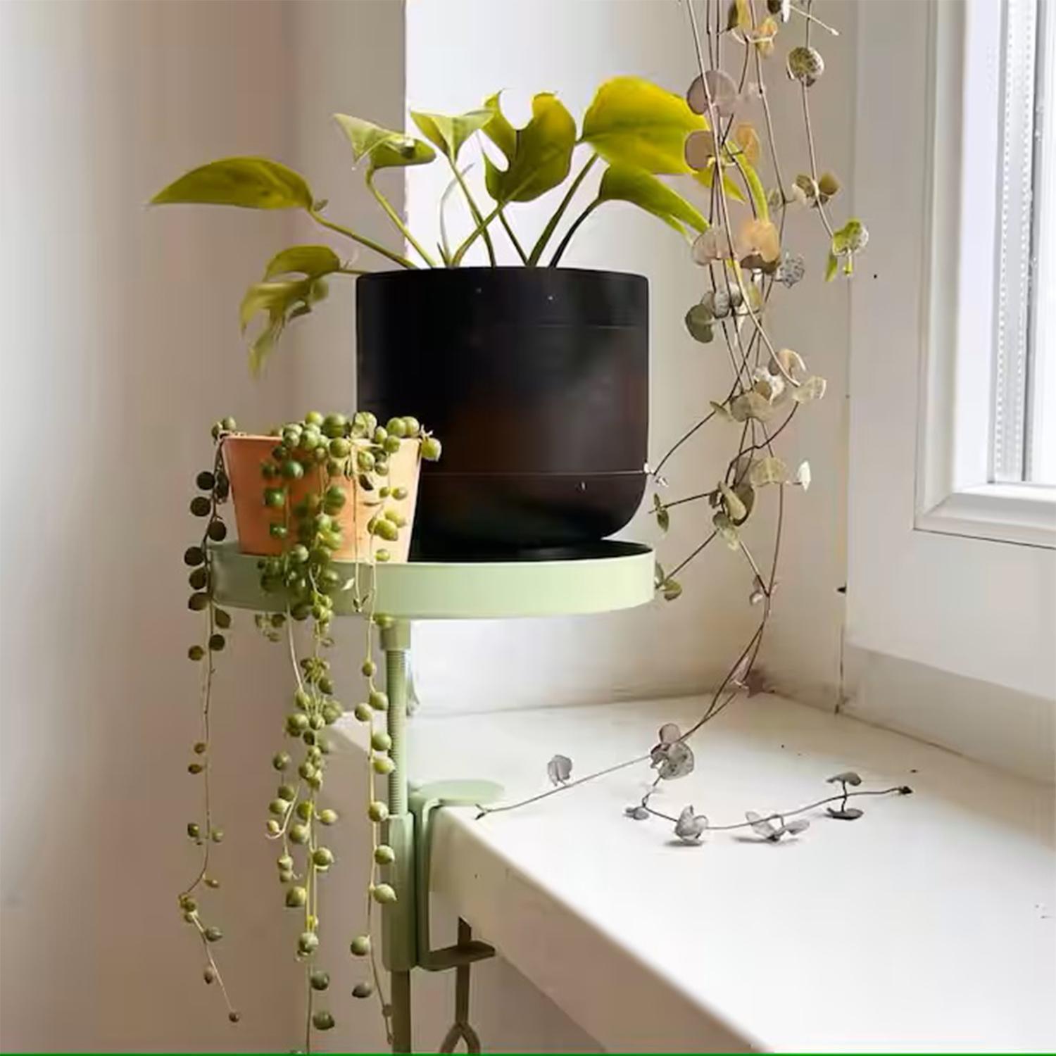 Appartement Duomo *