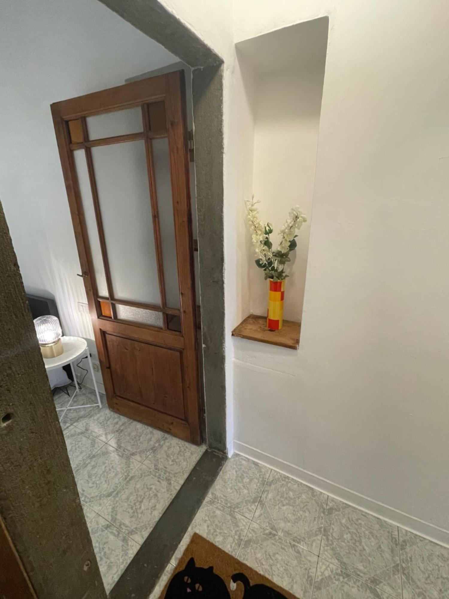 Appartamento Michelangiolo *
