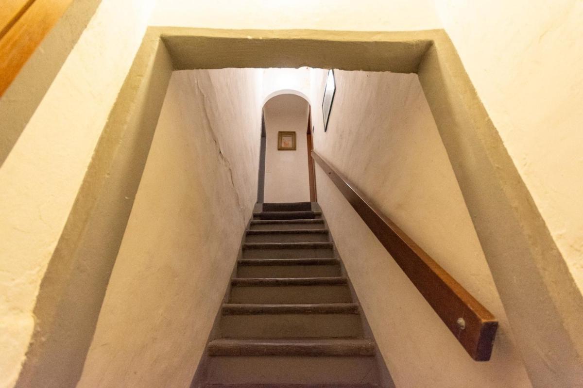 Lovely Appartement