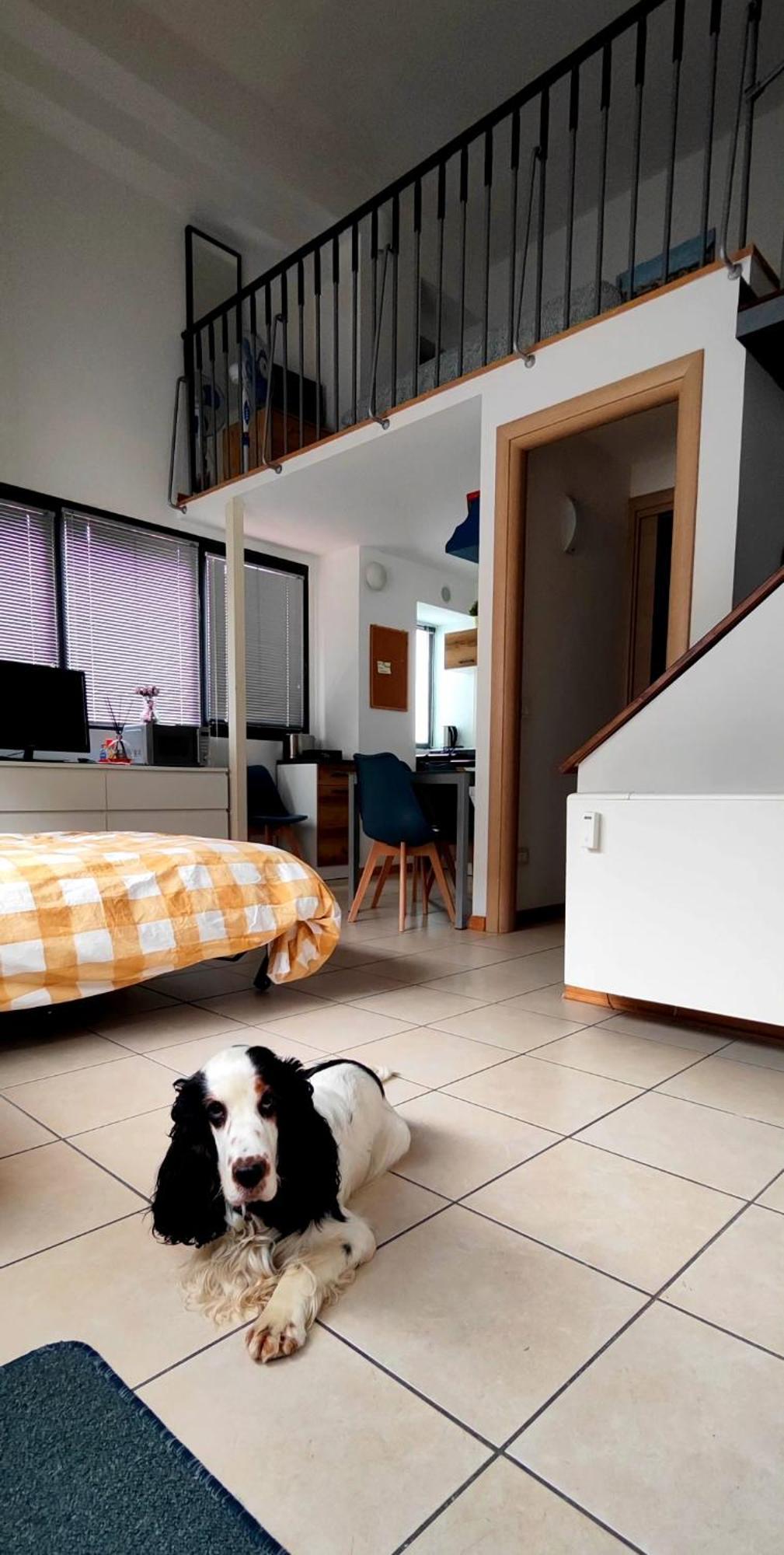 Gemme Fiorentine In Front Of The Train Station 5 Minutes From The Centre Free Parking * Florença