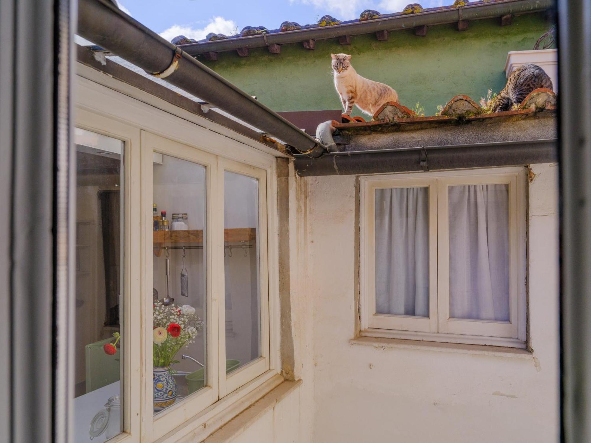 Nugolo Atelier - Light & Charm In Oltrarno Appartement