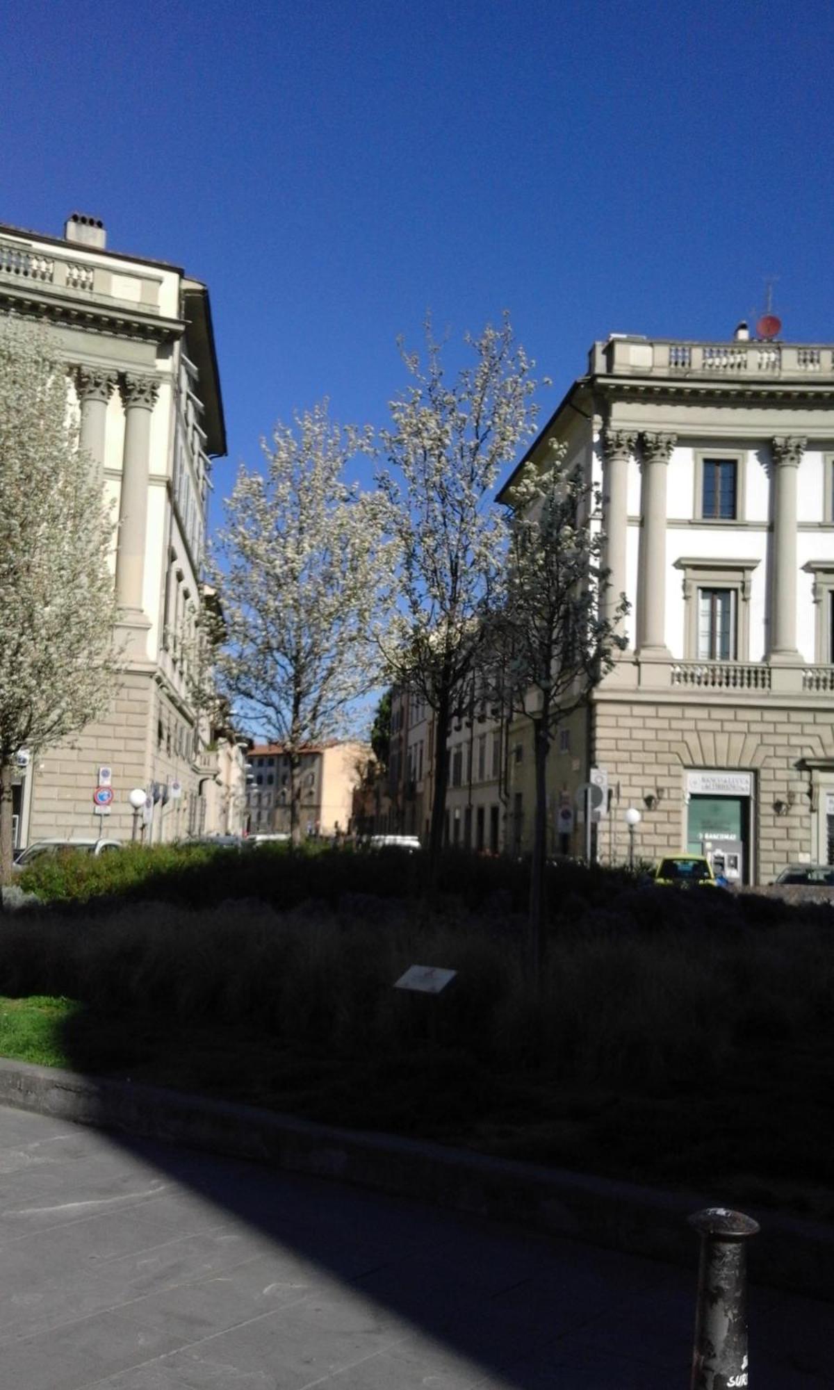 Appartement Lovely, Downtown Florence, La Magnolia *