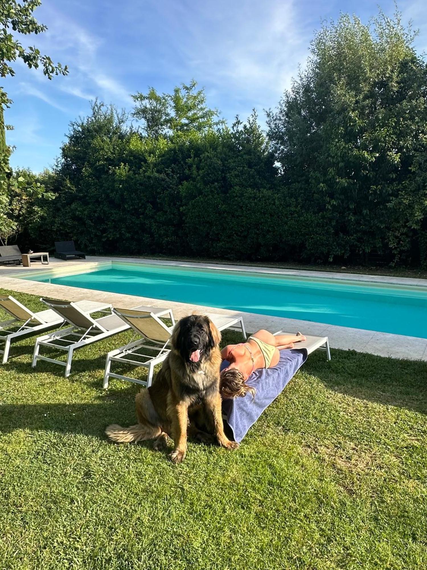 Escape With Pool In Apartamento Florença