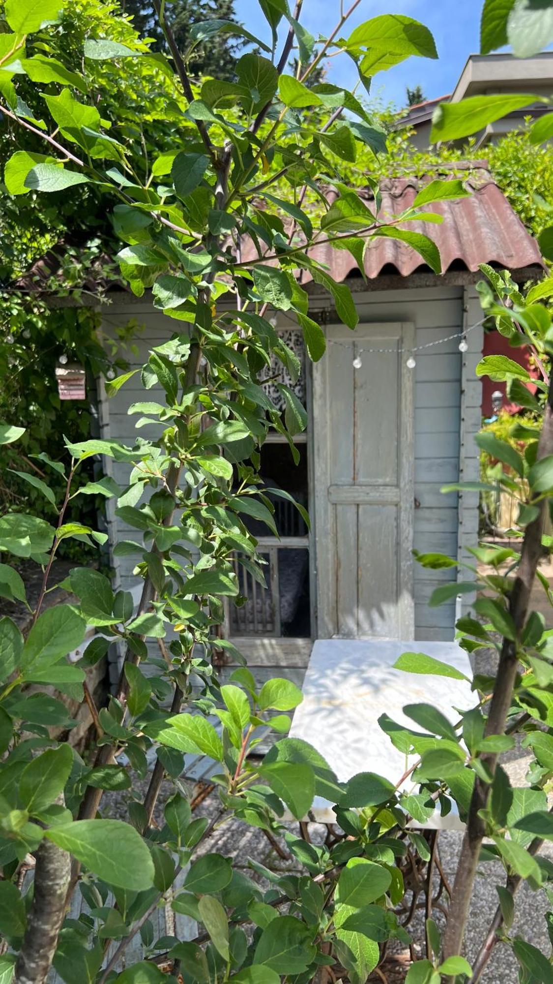 Casa vacanze La Serra Sognante, Un Rifugio Incantevole Tra Natura E Relax *