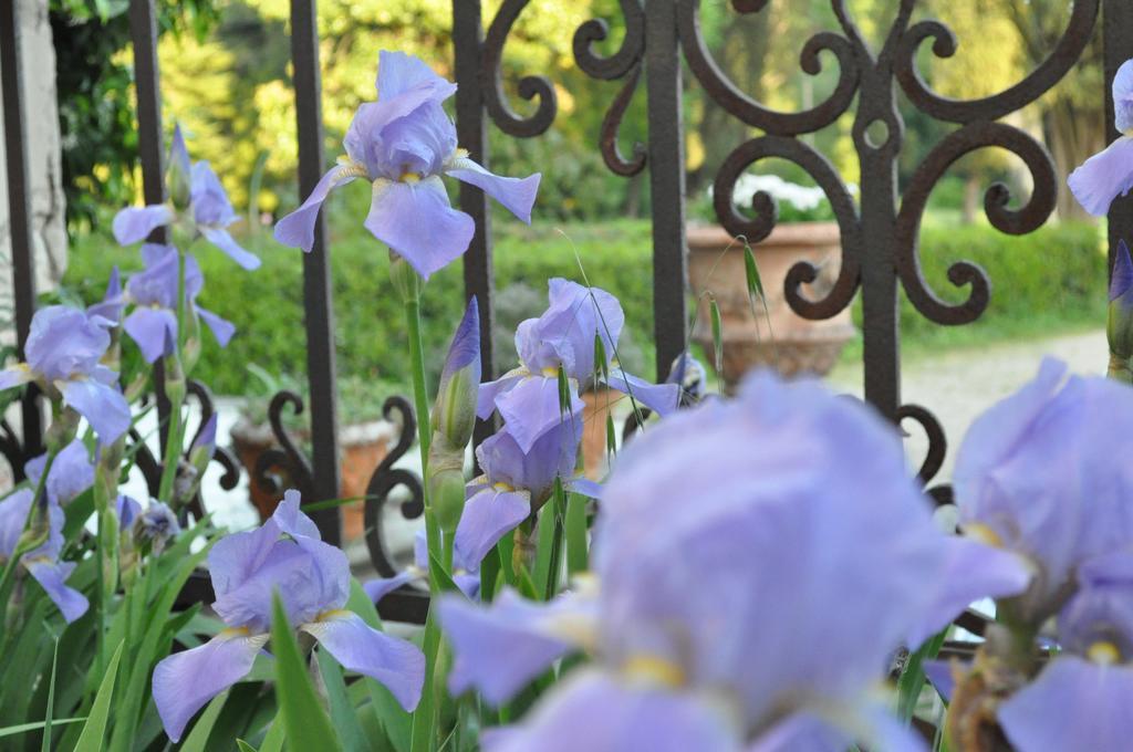 Bed & Breakfast Armonie Di Incontri 3*
