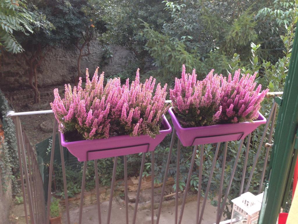 Appartement Casa Maron