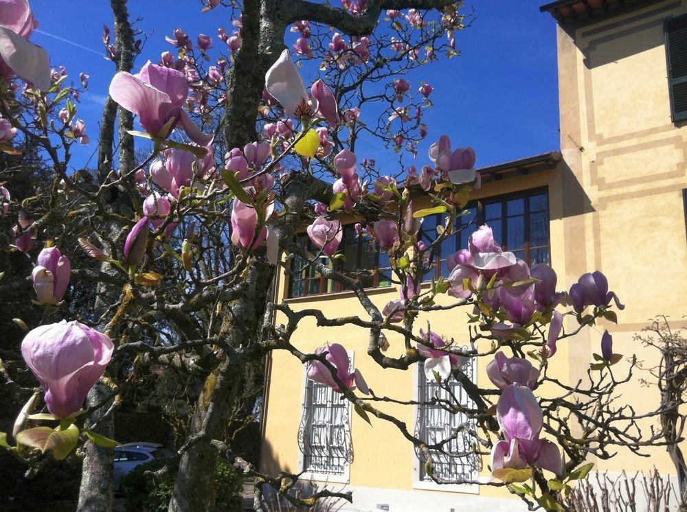 Ape Rosa Relais Frühstückspension Florenz