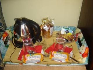 Berna Hotel Florenz