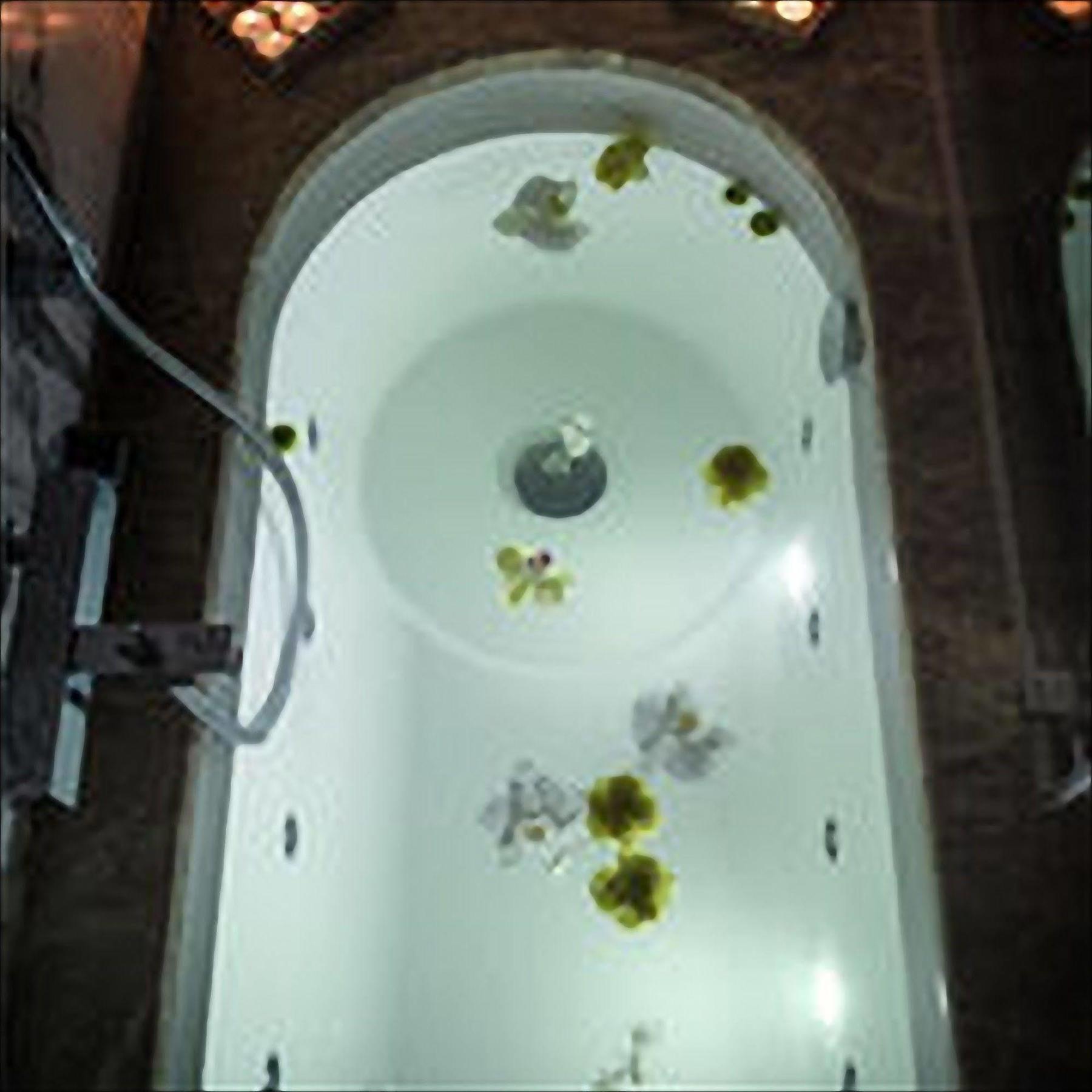 Grand Hotel&spa - Ricci Collection Hotel