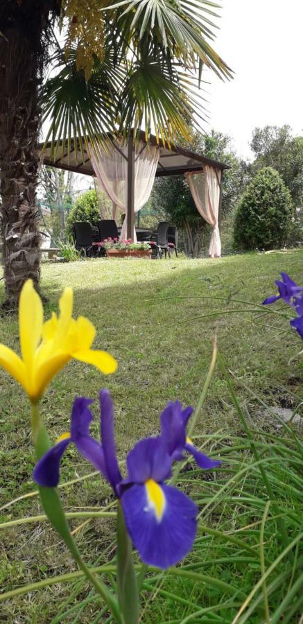 Casa Betania Casa Per Ferie 2* Florence
