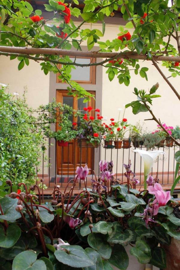 Faenza Novella Florenz